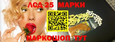 шишки Кандалакша