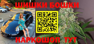 шишки Кандалакша