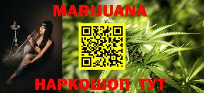 шишки Кандалакша