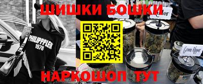 шишки Кандалакша