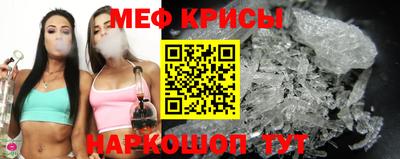 шишки Кандалакша