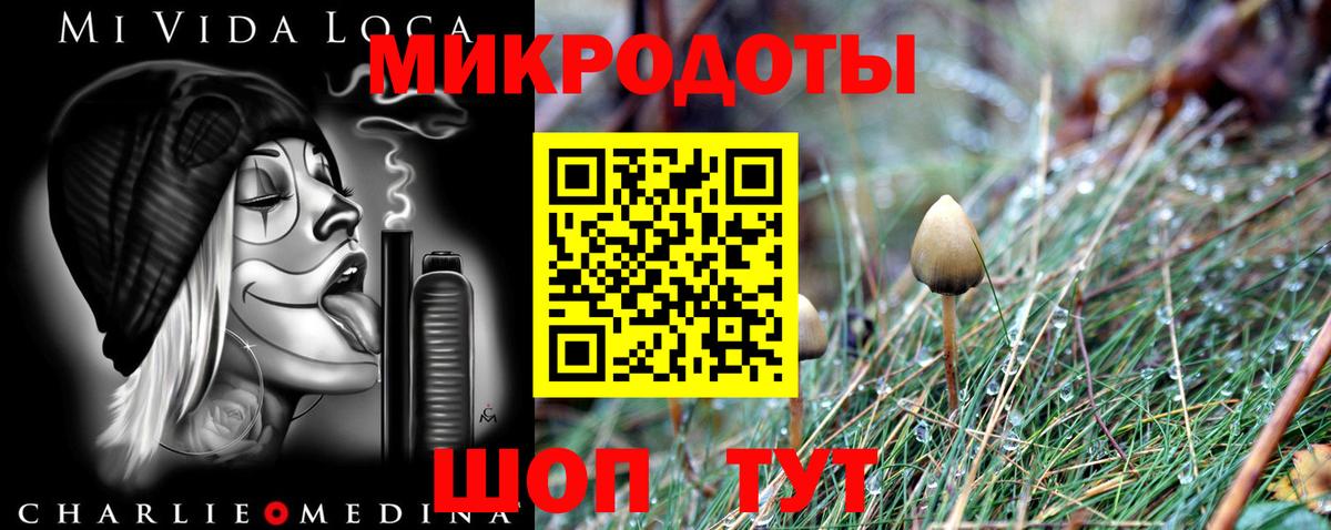 Алапаевск  Псилоцибиновые грибы мицелий  Вход с VPN  Псилоцибиновые грибы GOLDEN TEACHER 