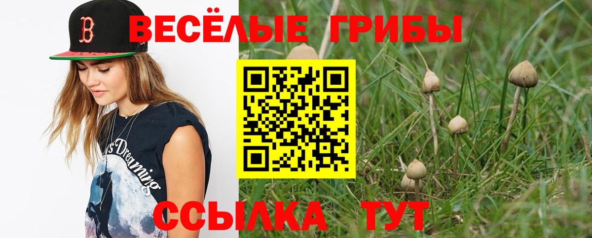 Галлюциногенные грибы Magic Shrooms Алапаевск